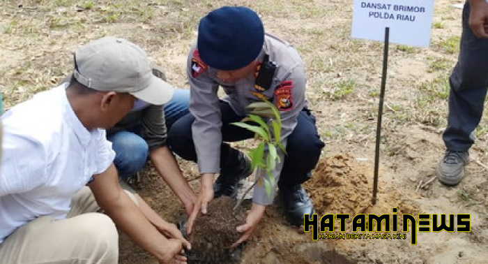 Peringati WED, Lebih Baik Mulai Menanam Pohon Bersama Mandala Foundation