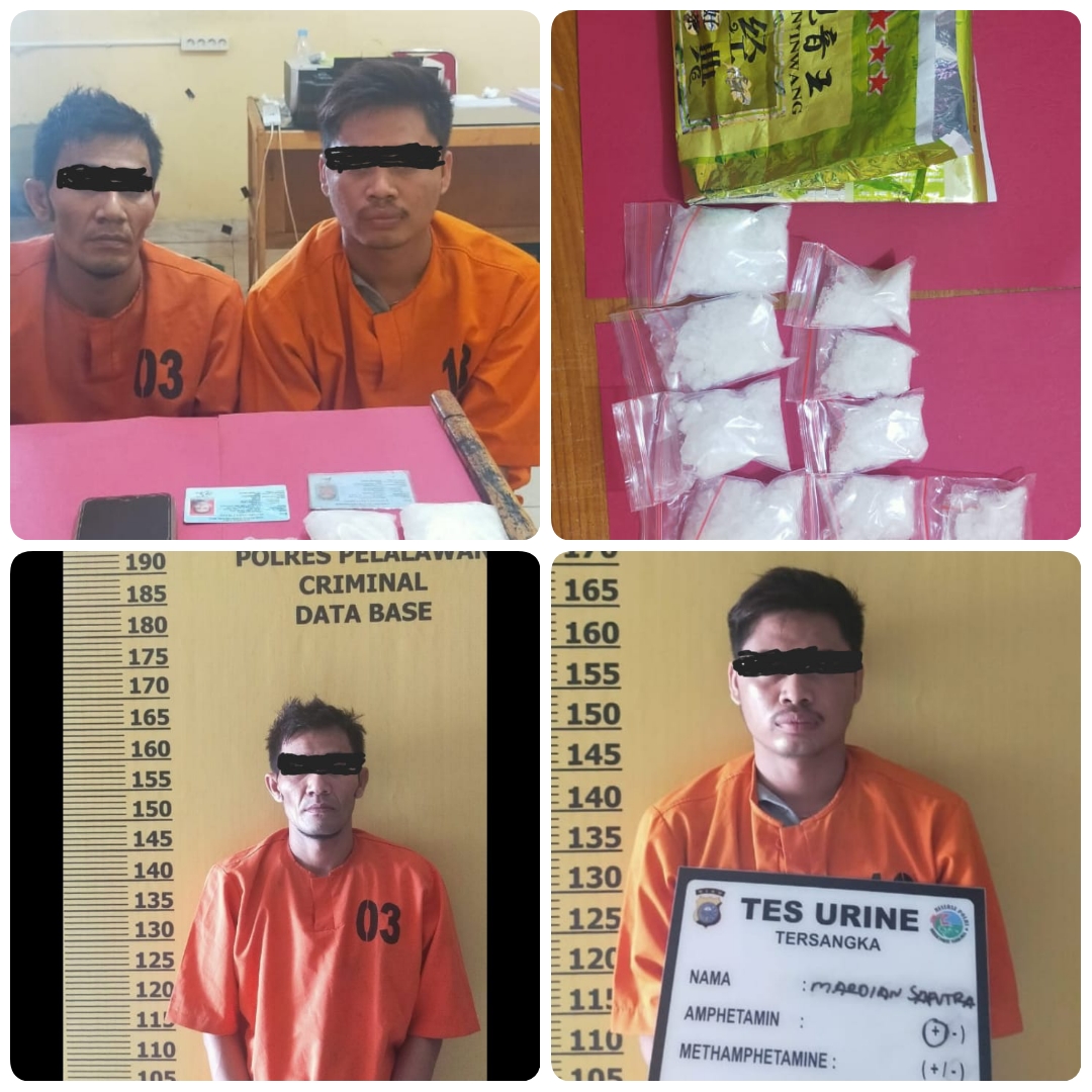 Opsnal ResNarkoba Polres Pelalawan, Ringkus Dua Orang Pengedar di HUT Kemerdekaan Republik Indonesia