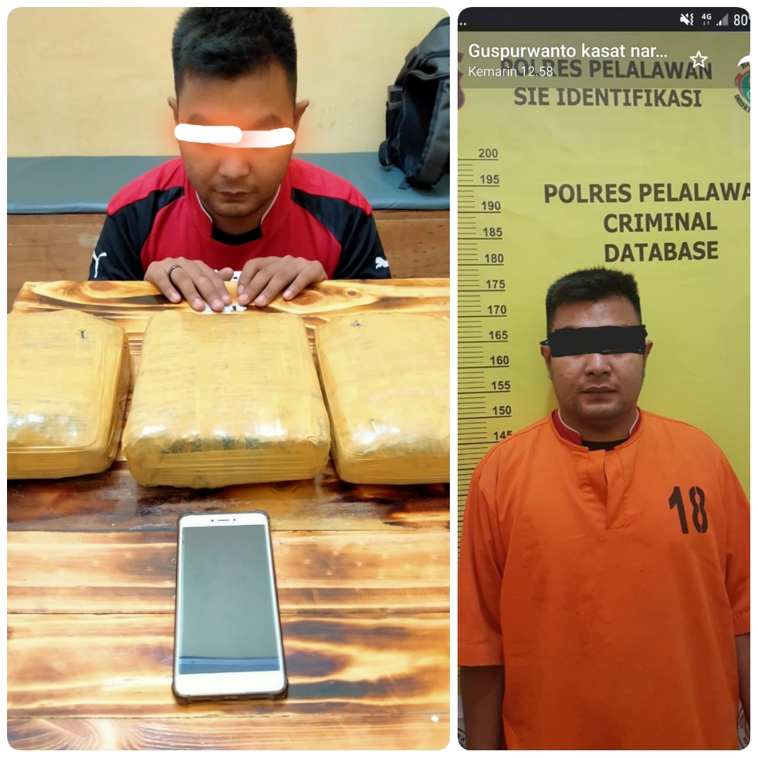 Pengedar Ganja Diamankan Tim Opsnal Sat Res Narkoba.